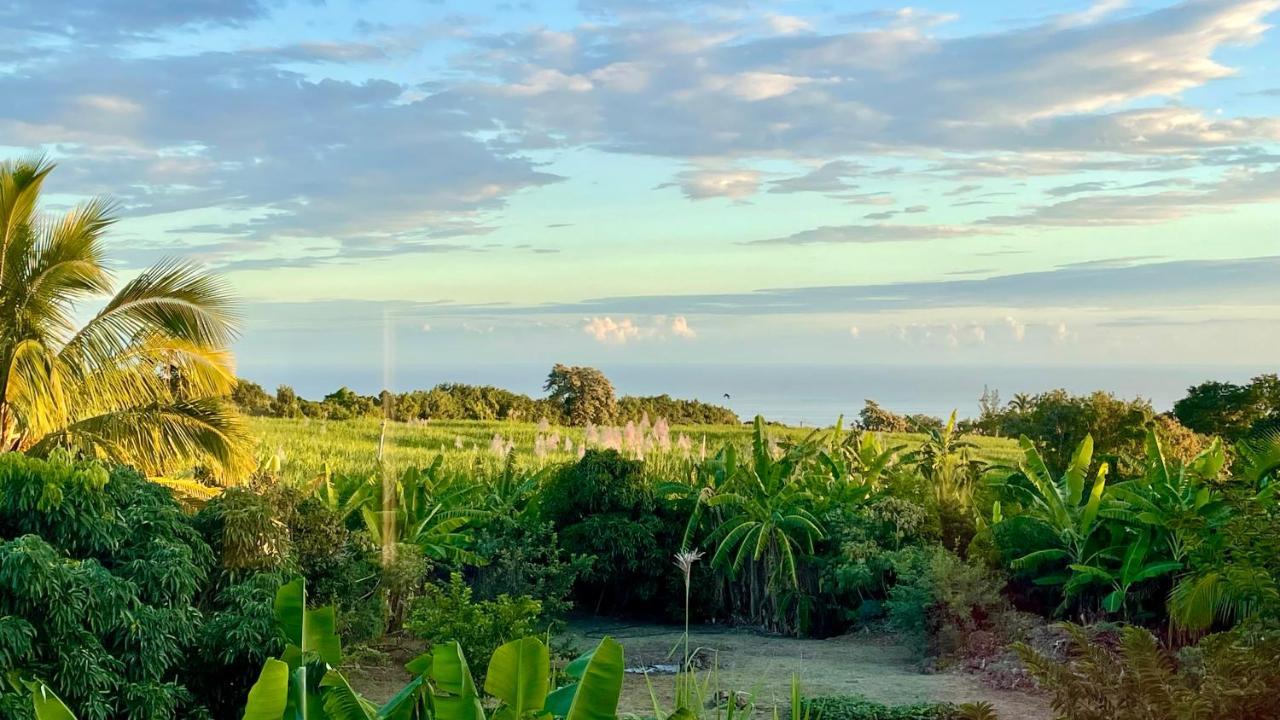 Les villas de la ligne des bambous Ravine des Cabris Extérieur photo