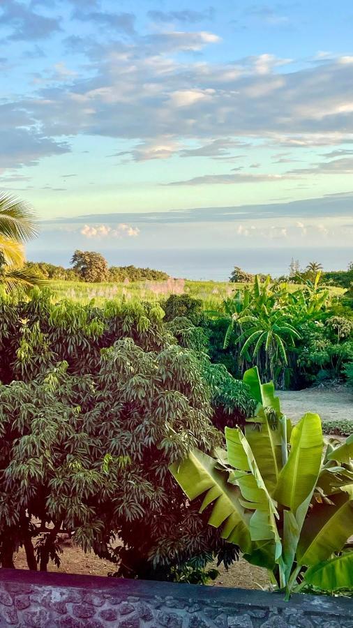 Les villas de la ligne des bambous Ravine des Cabris Extérieur photo