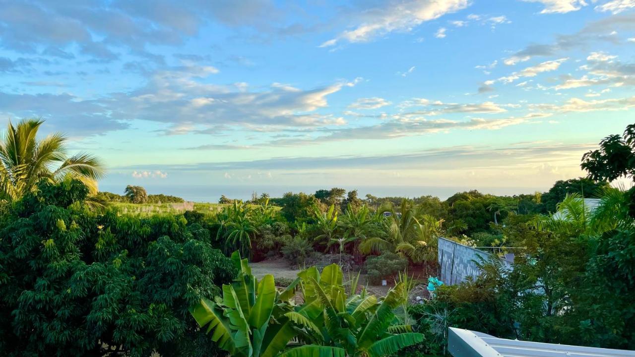 Les villas de la ligne des bambous Ravine des Cabris Extérieur photo